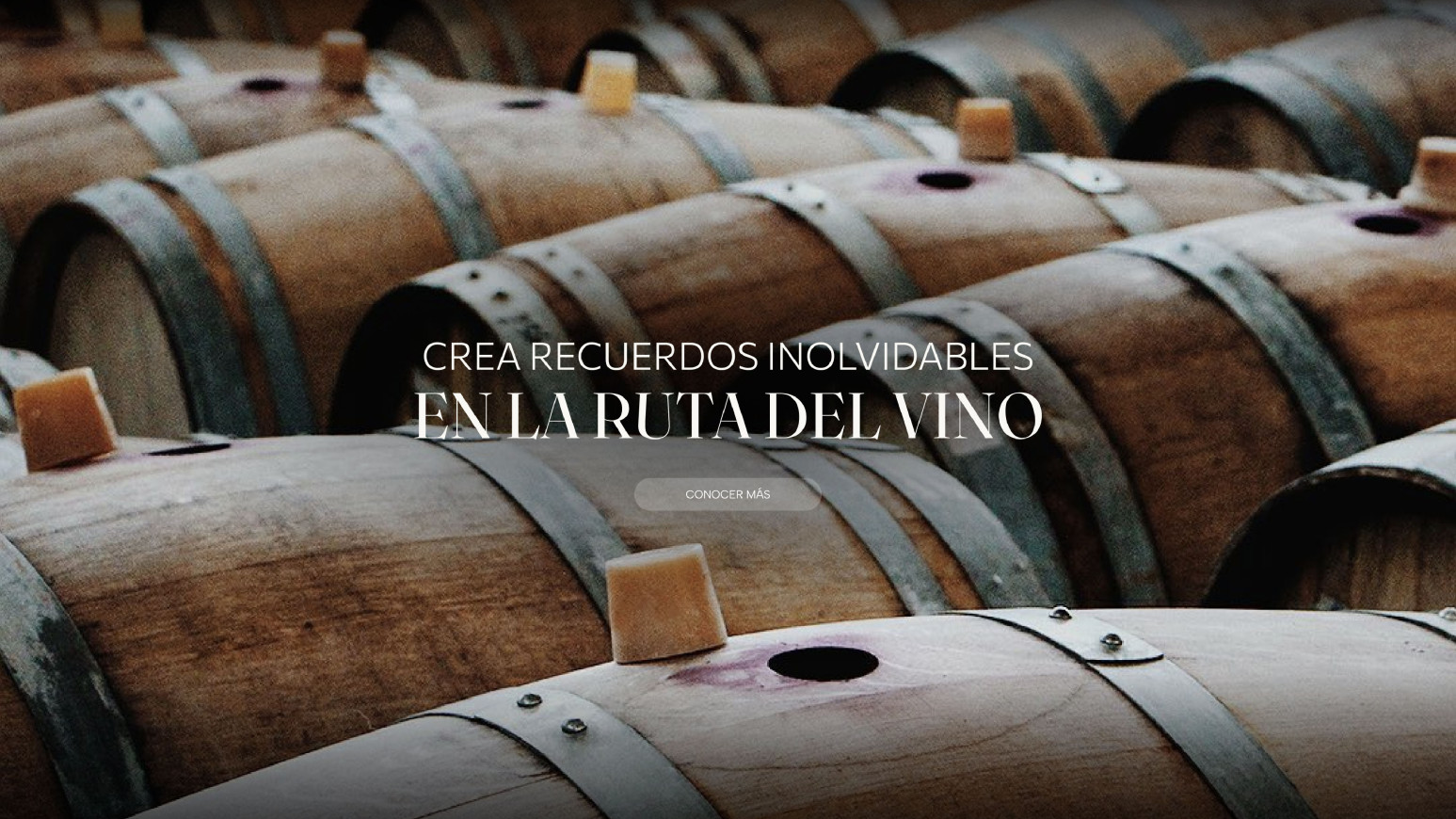 Ruta del vino
