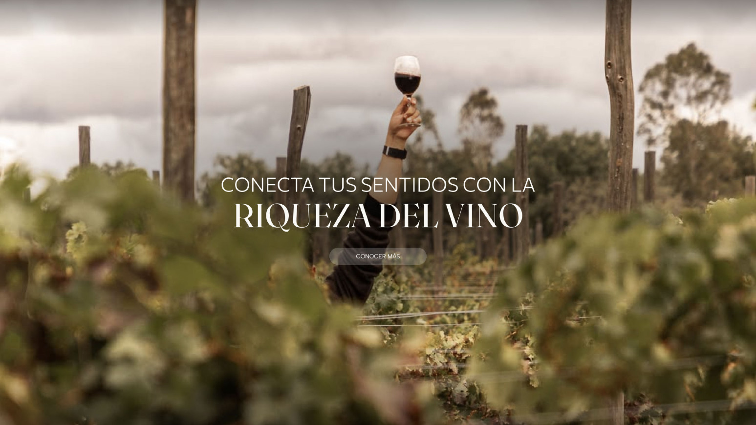 Ruta del vino