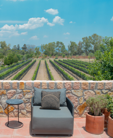 Ruta del Vino