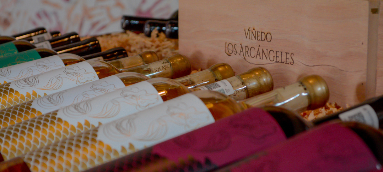 Ruta del Vino