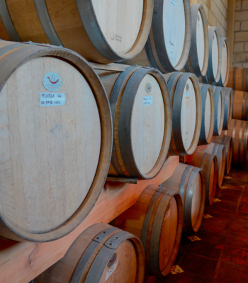 Ruta del Vino