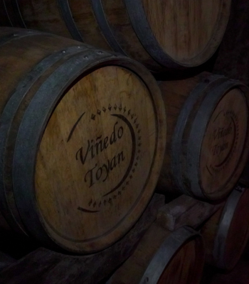 Ruta del Vino