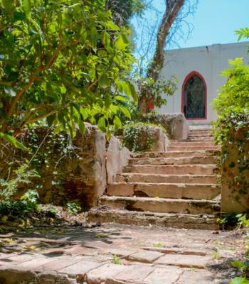 Ruta del Vino