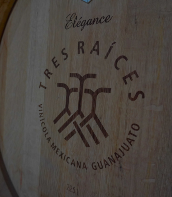 Ruta del Vino
