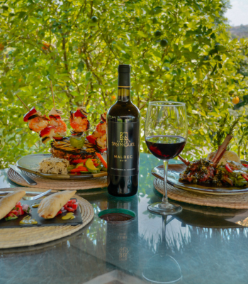 Ruta del Vino