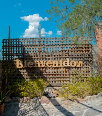 Ruta del Vino