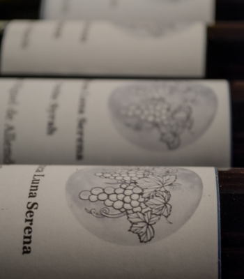 Ruta del Vino