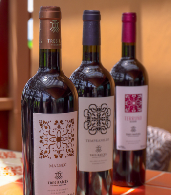 Ruta del Vino