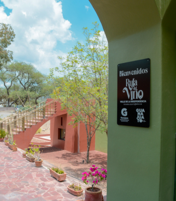 Ruta del Vino