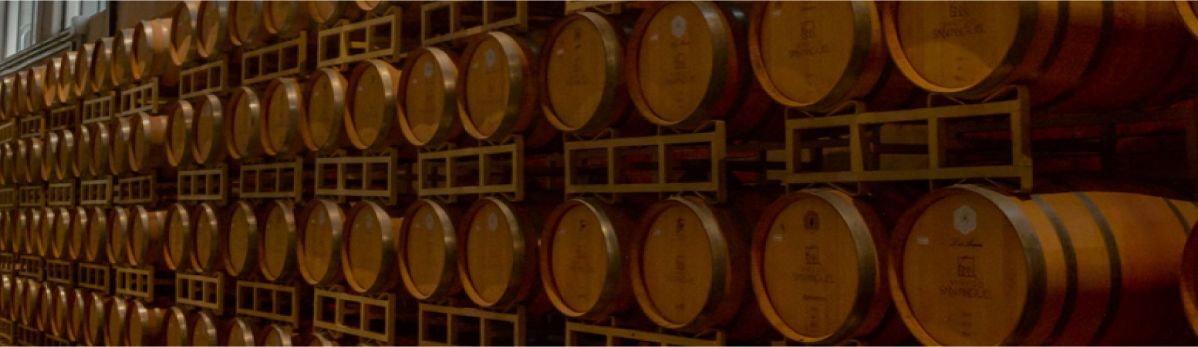 Ruta del vino