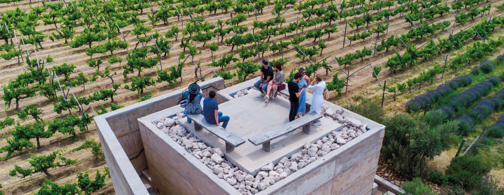 Ruta del vino