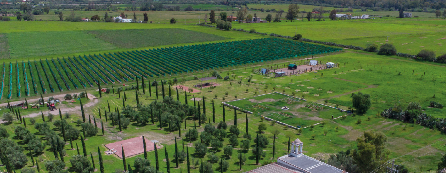 Ruta del vino