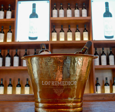 Ruta del Vino