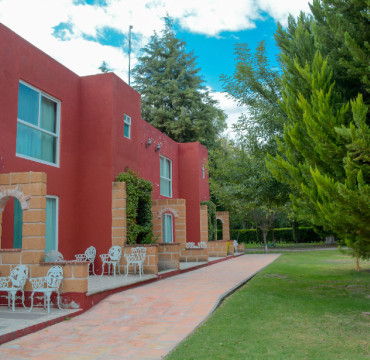 Ruta del Vino
