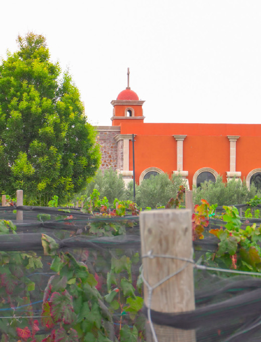 Ruta del Vino