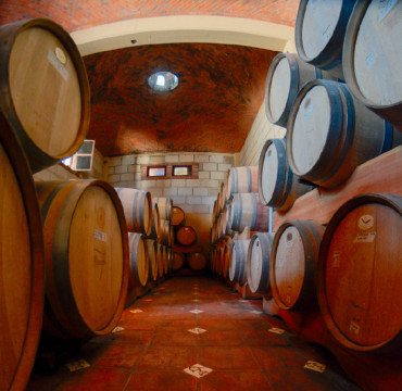 Ruta del Vino
