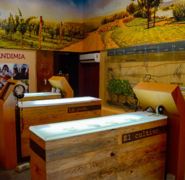 Ruta del Vino