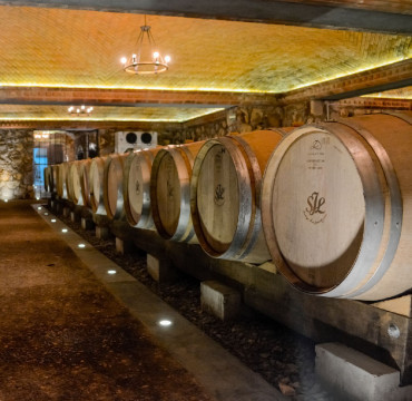 Ruta del Vino