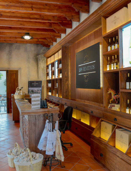 Ruta del Vino
