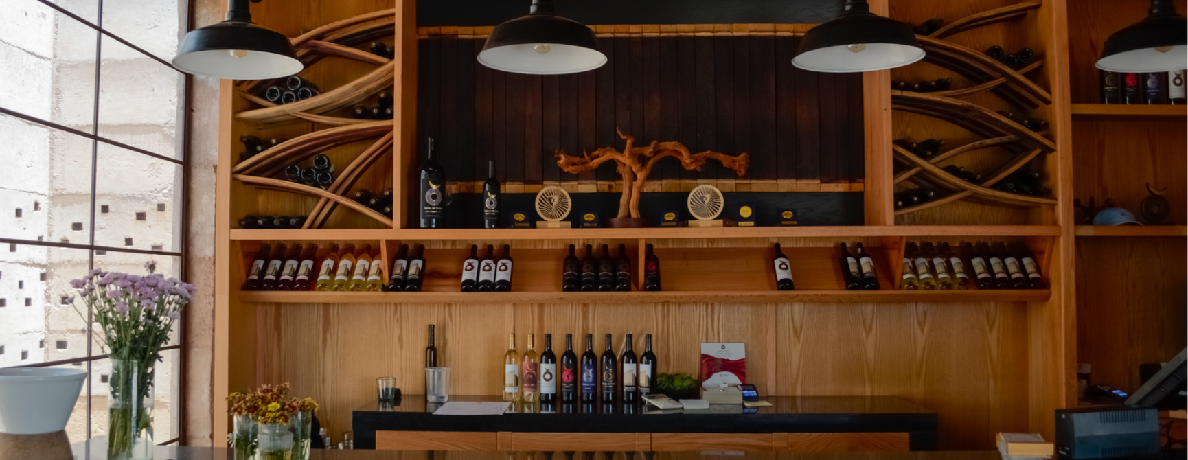 Ruta del vino