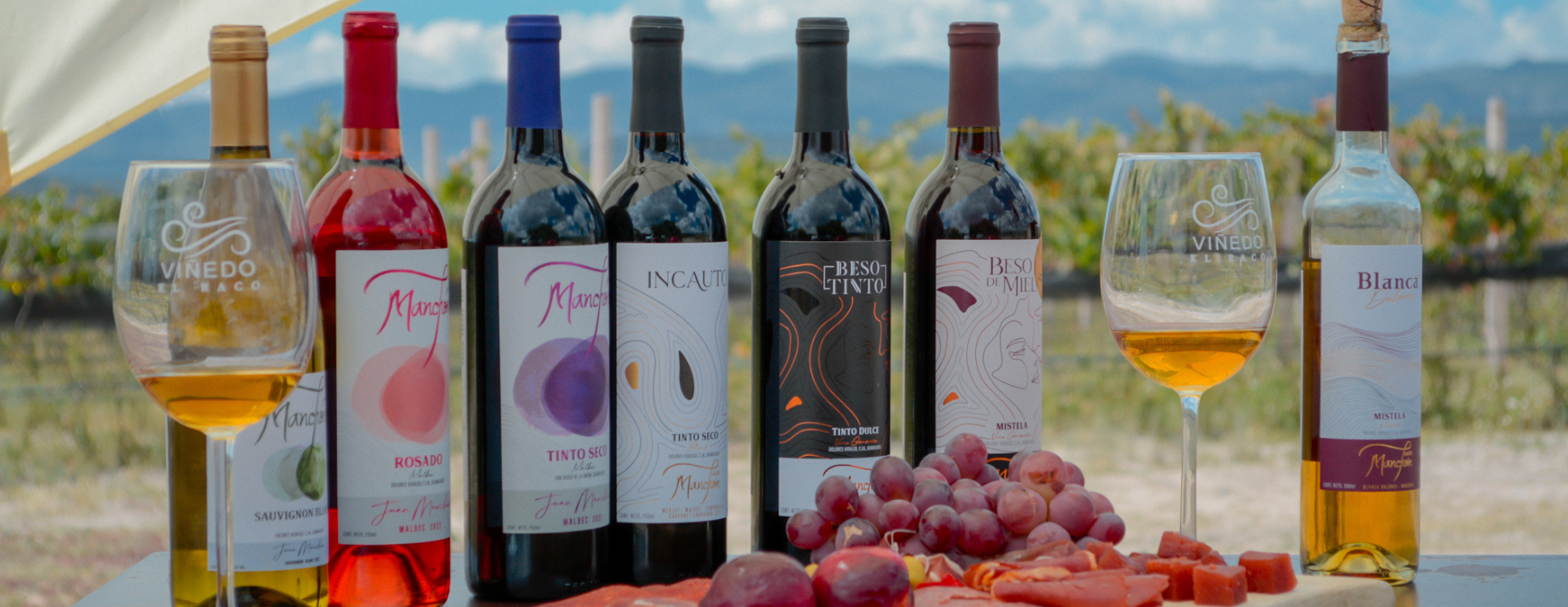 Ruta del vino