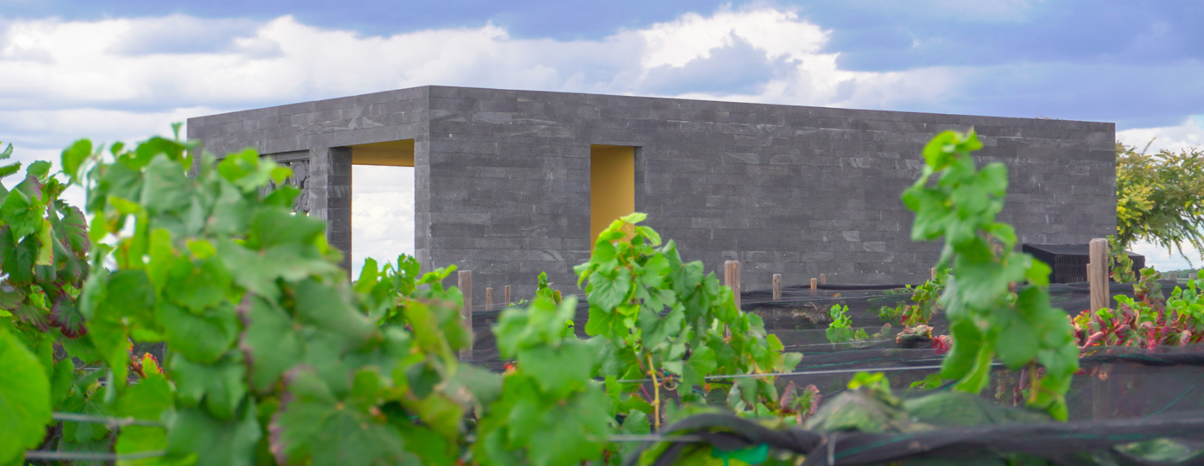 Ruta del vino