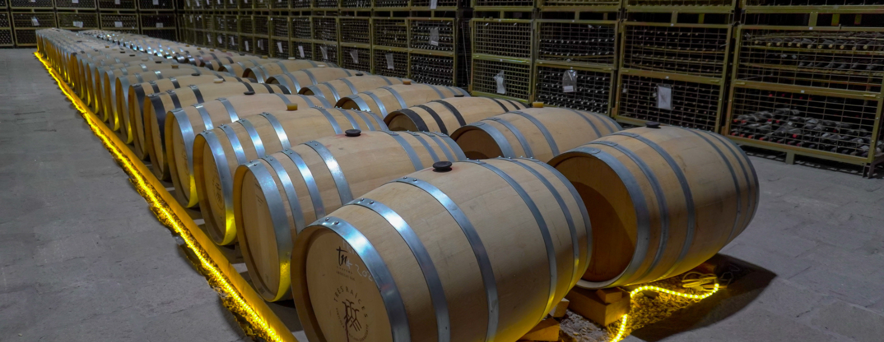 Ruta del vino