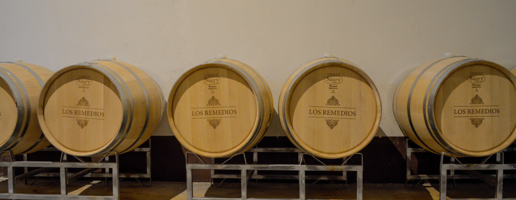 ruta del vino