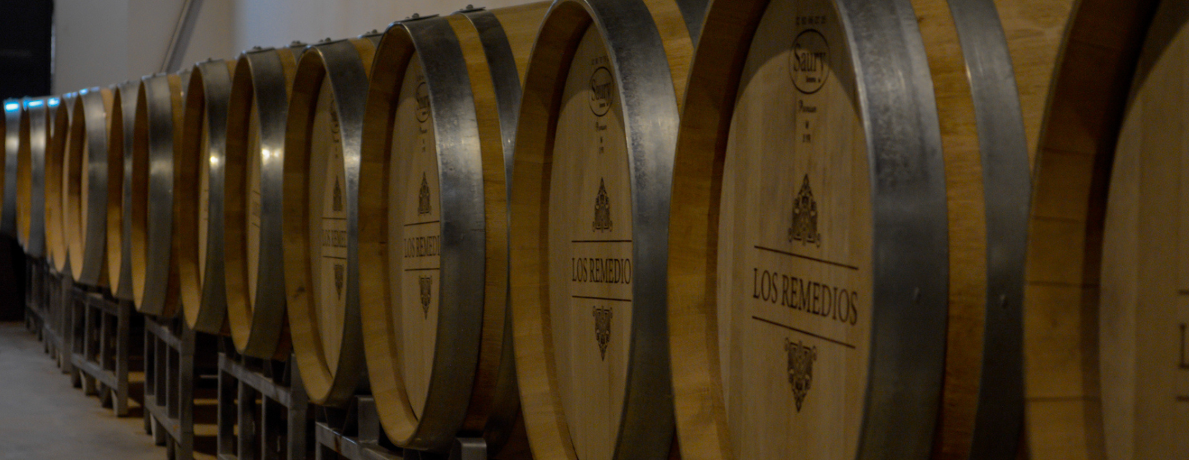 Ruta del vino