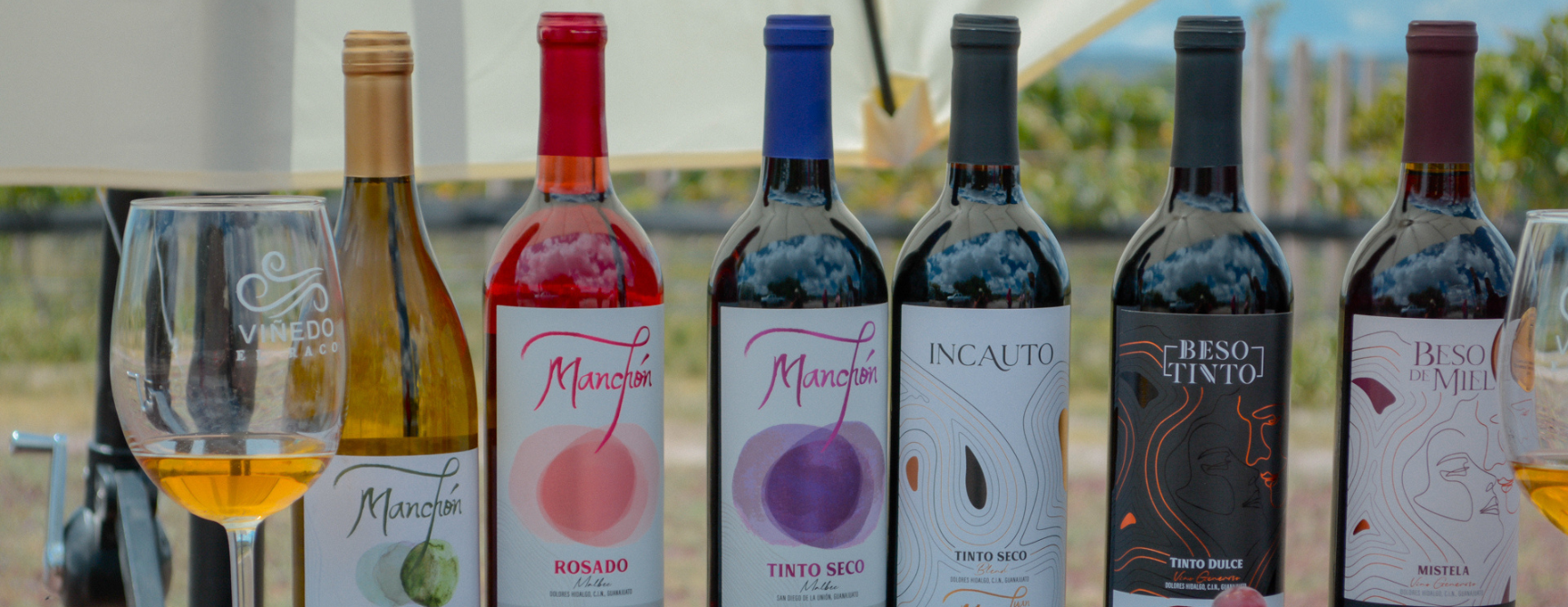 ruta del vino