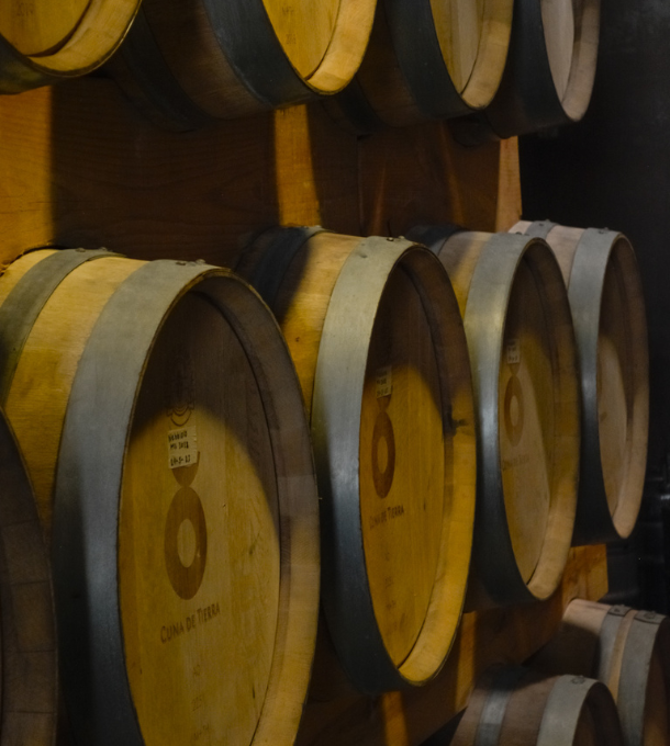Ruta del Vino