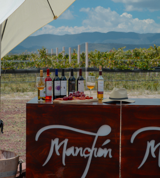 Ruta del Vino