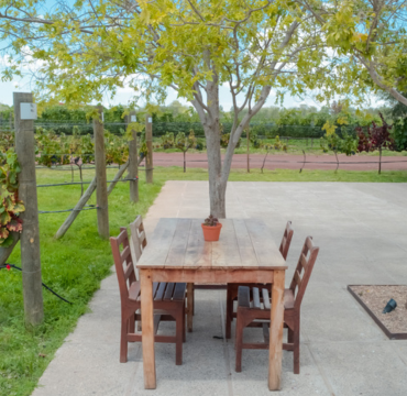 Ruta del Vino