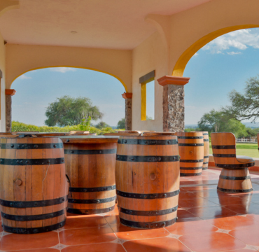 Ruta del Vino