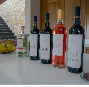 Ruta del Vino