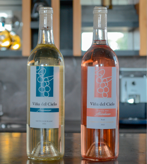 Ruta del Vino