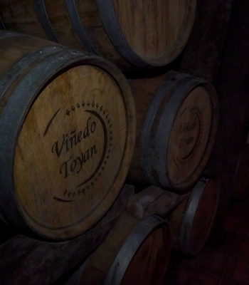 Ruta del Vino