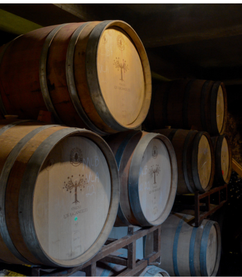 Ruta del Vino