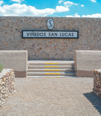 Ruta del Vino