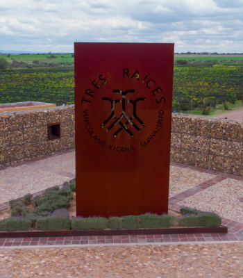 Ruta del Vino