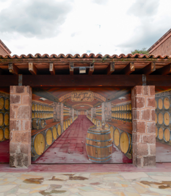 Ruta del Vino