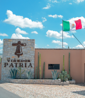 Ruta del Vino