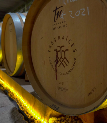 Ruta del Vino