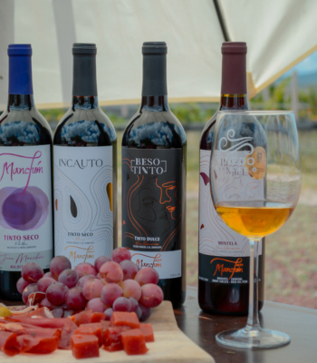 Ruta del Vino