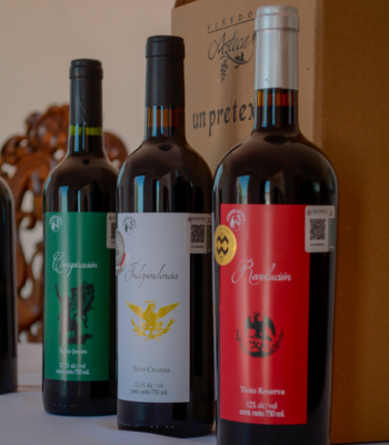 Ruta del Vino