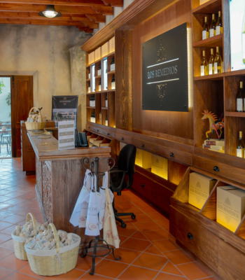 Ruta del Vino