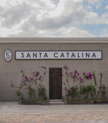 Ruta del Vino