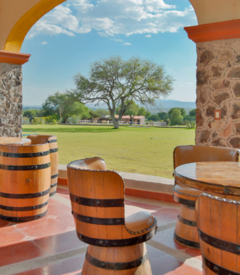 Ruta del Vino