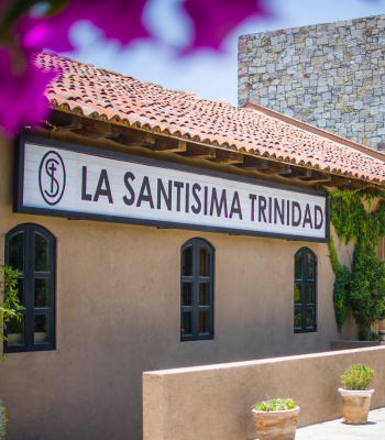 Ruta del Vino