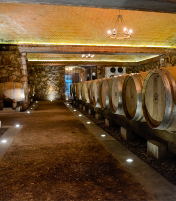 Ruta del Vino